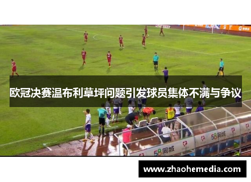 欧冠决赛温布利草坪问题引发球员集体不满与争议